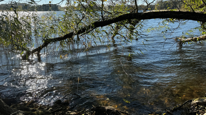 OSADA DADAJ (27)-min